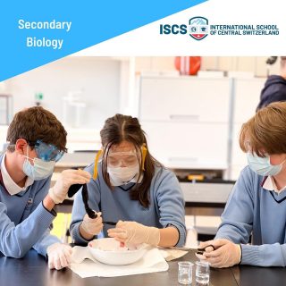 When all Year 10 had to make a poo 💩 

And it smelled so bad! It smelled in the lab, and in the corridors and in other classrooms! There was so much poo, some could even call in a POONAMI 🙊
It was so eye-wateringly smelly, everyone had to wear goggles and masks… 

This is how #YoursTrulyMsPredouli thinks biology should be taught! The best way to cover digestive system, learning about gastric & pancreatic juices, enzymes, and so on is by performing an actual, smelly experiment. And the students LOVED it! They could name the acids, they could explain what is happening at every stage and they learned that by having fun! We have a feeling, a shower of As and A* is coming in the IGCSE’s exams 😃 we are so proud of every one of you 👍

#biology #biologyclass #internationalschool #igcse #igcsebiology #cambridgeint #cambridgeinternationalschool #cambridgeinternational #internationaleducation #students #teachersofinstagram #studentsofinstagram #internationalstudents #myswitzerland #switzerland #swissschool #zugcity #zug #whataboutzug #expatsinswitzerland #cham #steinhausen #baar #science #scienceteacher #igcsescience #secondaryschool
